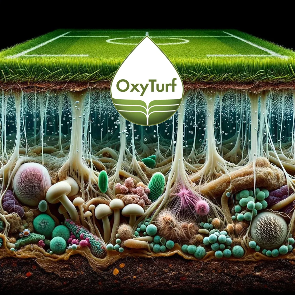 OxyTurf Food Web Image