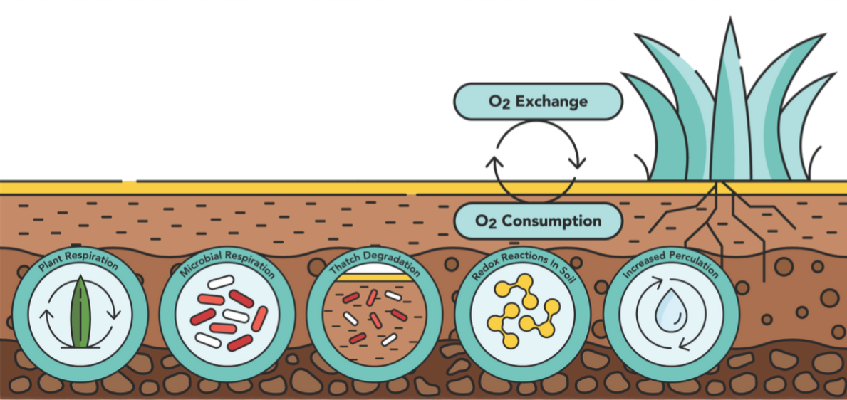 OxyTurf Benefits